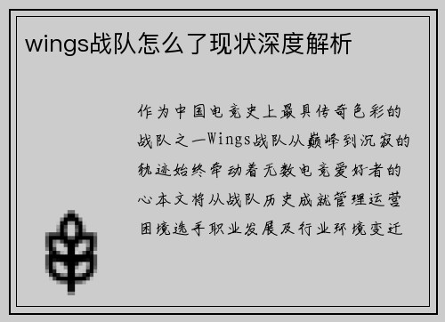 wings战队怎么了现状深度解析
