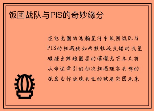 饭团战队与PIS的奇妙缘分